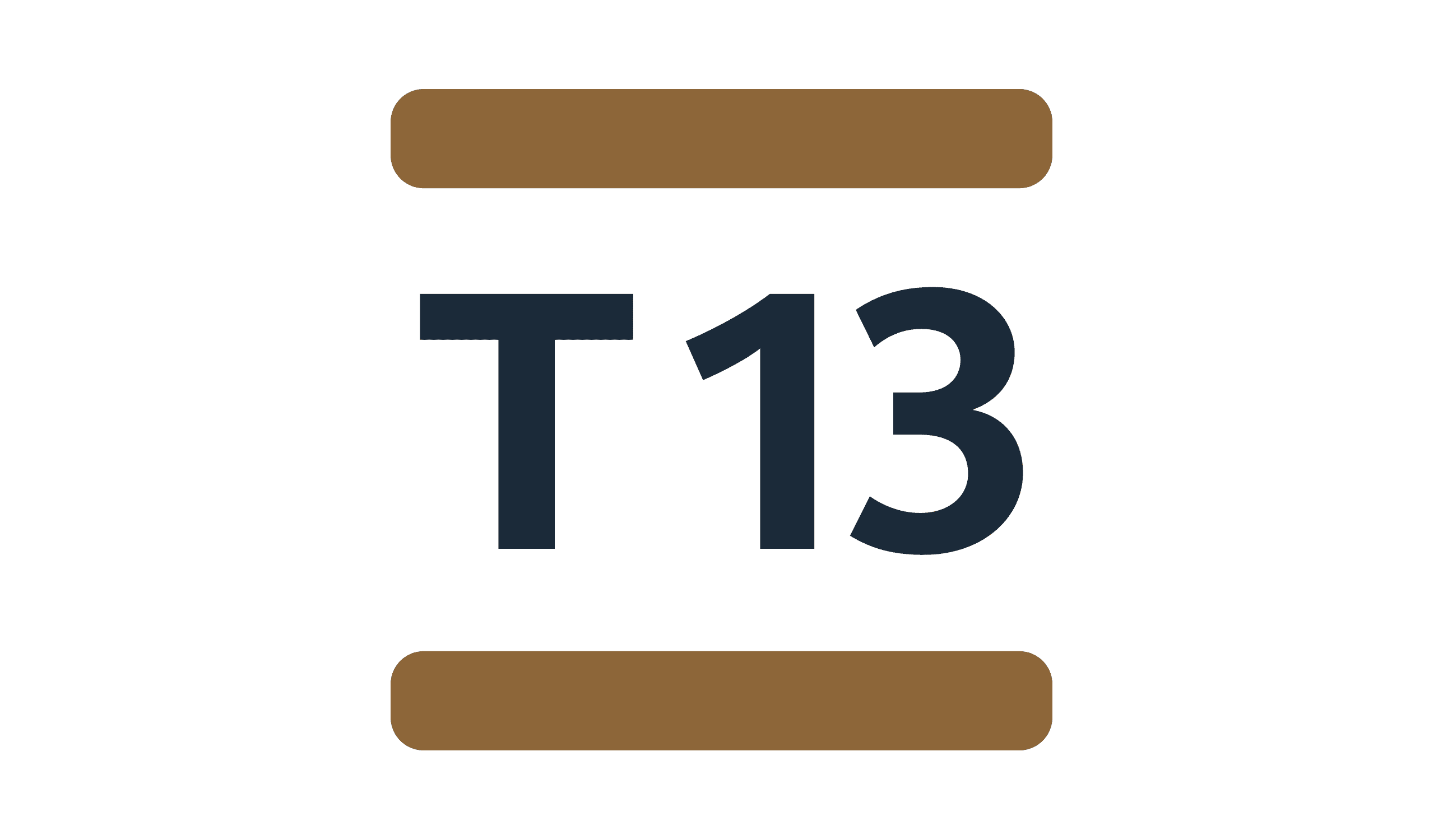 TRANSILIEN T13